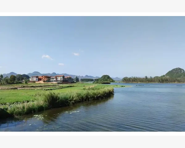 脾胃虚能吃糯米饭嘛？一本正经的介绍