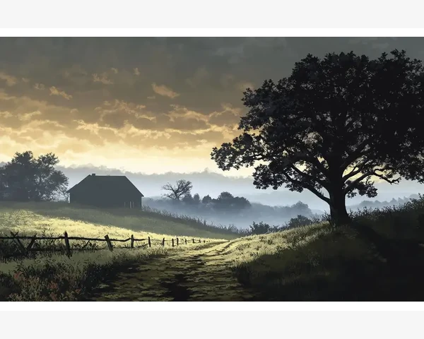 强肾健脾胃，健康生活从养护肾脏开始